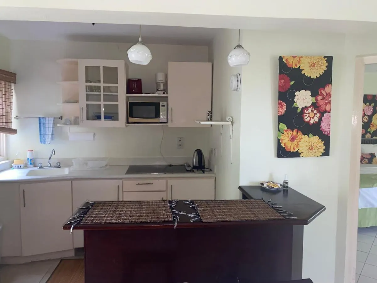 1 Bedroom Penthouse Suite 63 At Mystic Ridge Resort 오쵸 리오스 아파트